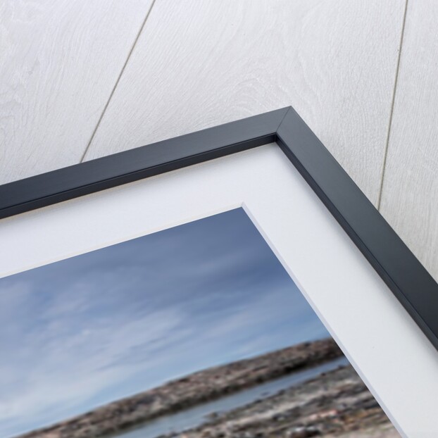 Tent Rings, Nunavut, Canada by Anonymous