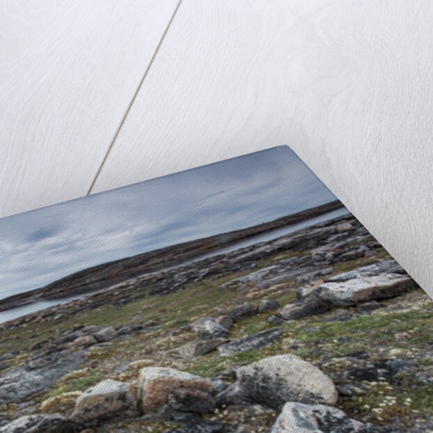 Stone Tent Rings, Nunavut, Canada by Anonymous