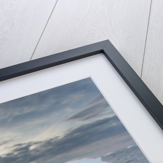 Ringed Seal Pup on Iceberg, Nunavut Territory, Canada by Anonymous