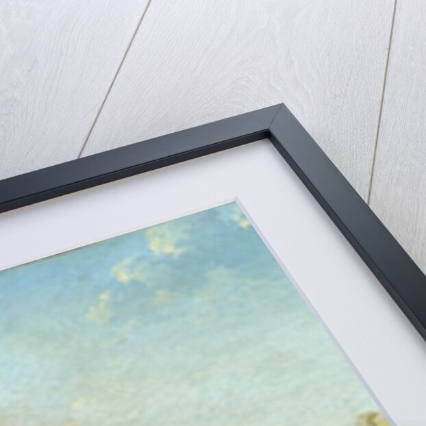 View of the Ile de la Cite by Nicolas Raguenet