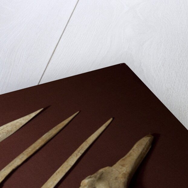 Assorted Bone Needles by Anonymous