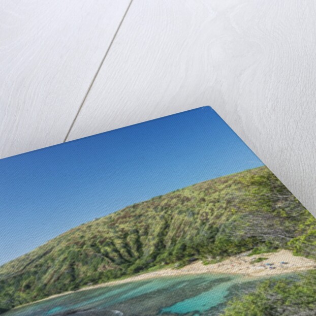 Hanauma Bay by Anonymous