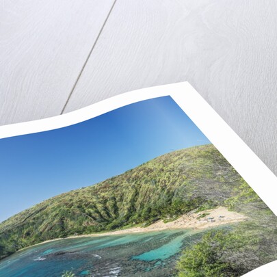 Hanauma Bay by Anonymous