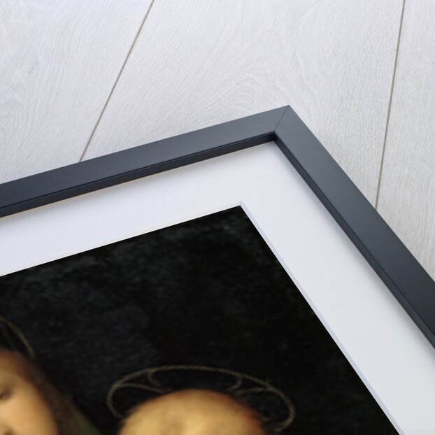 Madonna del Granduca by Raphael