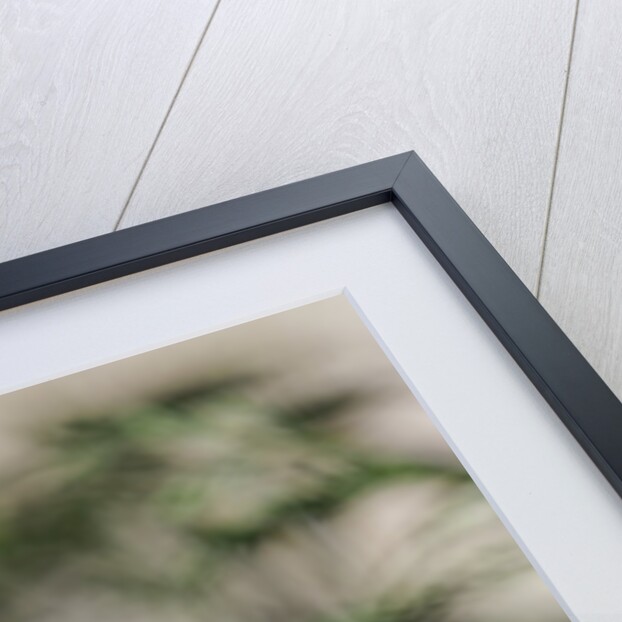 Rufous Towhee, McLeansville, North Carolina, USA by Anonymous