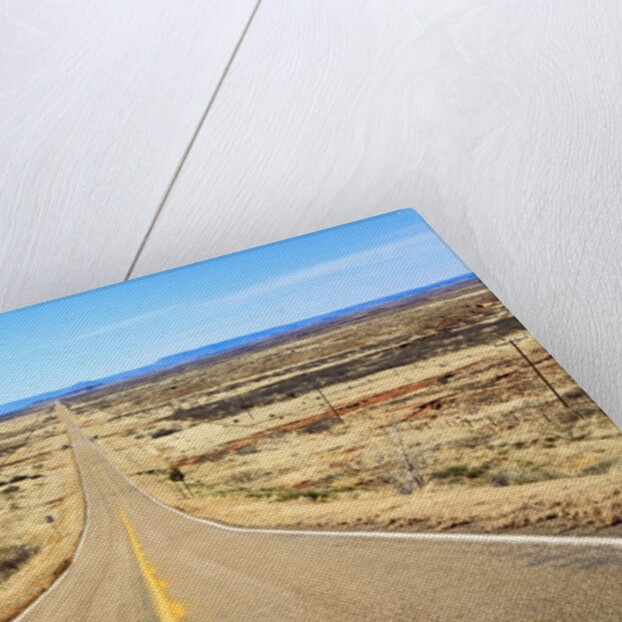 Long desert road stretching into the distance. by Anonymous