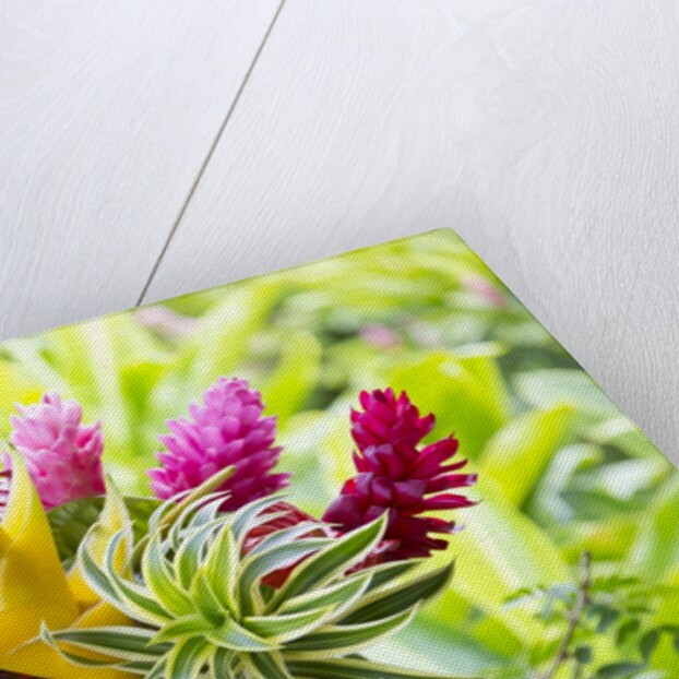 Hawaiian Tropical flower arrangement by Anonymous