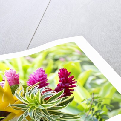 Hawaiian Tropical flower arrangement by Anonymous