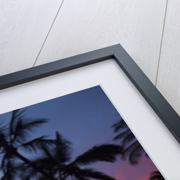 Palm trees at sunset on Keawekapu beach, Wailea, Maui, Hawaii by Anonymous