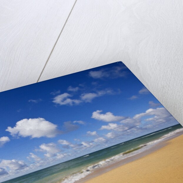 Baldwin Beach, Maui, Hawaii by Anonymous
