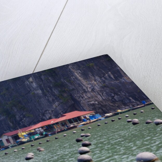 Vung Vieng Fishing Village in Bai Tu Long Bay, Halong Bay World Heritage Site, Vietnam by Anonymous