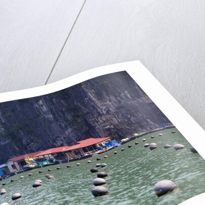 Vung Vieng Fishing Village in Bai Tu Long Bay, Halong Bay World Heritage Site, Vietnam by Anonymous