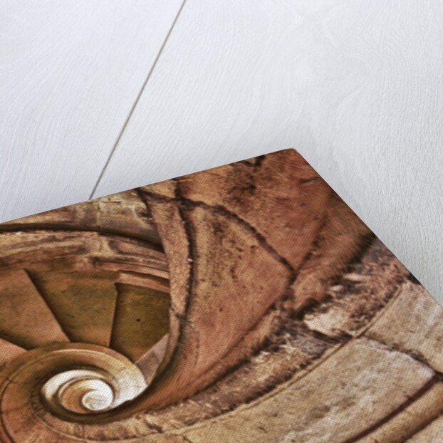 Spiral Stone Staircase in Convento de Cristo by Anonymous