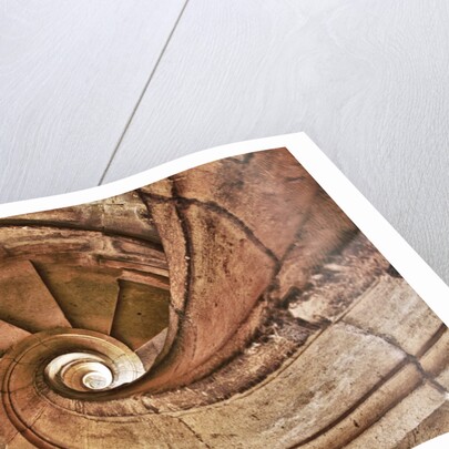 Spiral Stone Staircase in Convento de Cristo by Anonymous