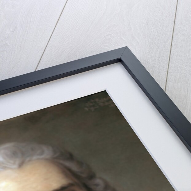 Portrait of Jean-Jacques Rousseau by Charles Escot