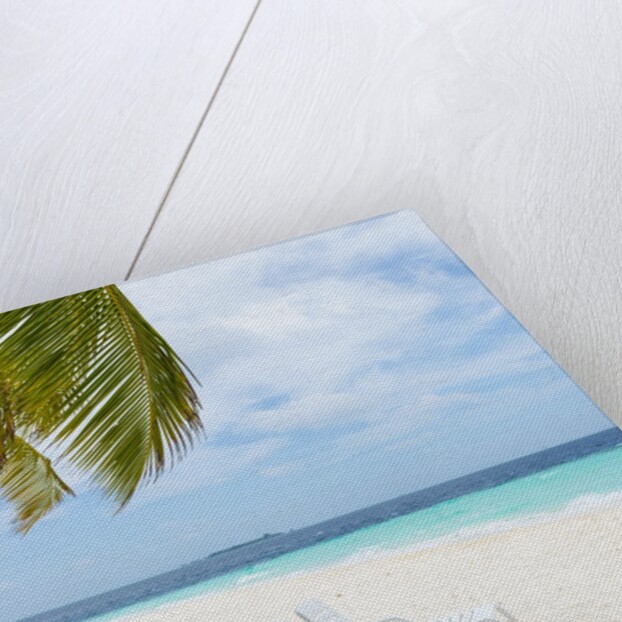 Idyllic Beach in the Maldives by Anonymous