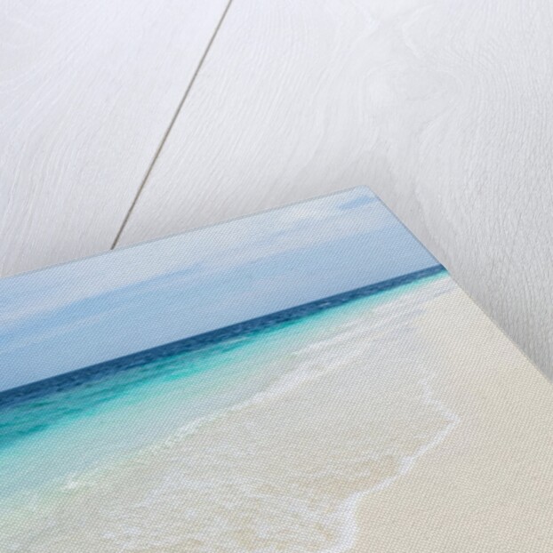 Idyllic beach in the Maldives by Anonymous