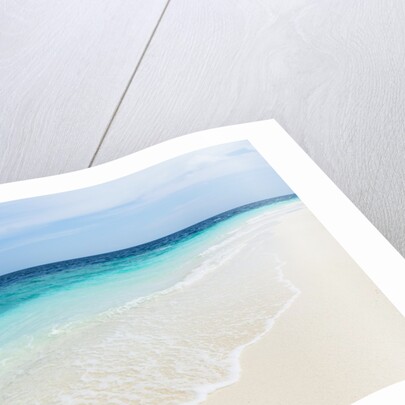 Idyllic beach in the Maldives by Anonymous