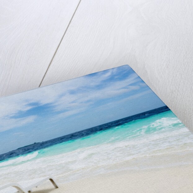Idyllic beach scene in the Maldives by Anonymous