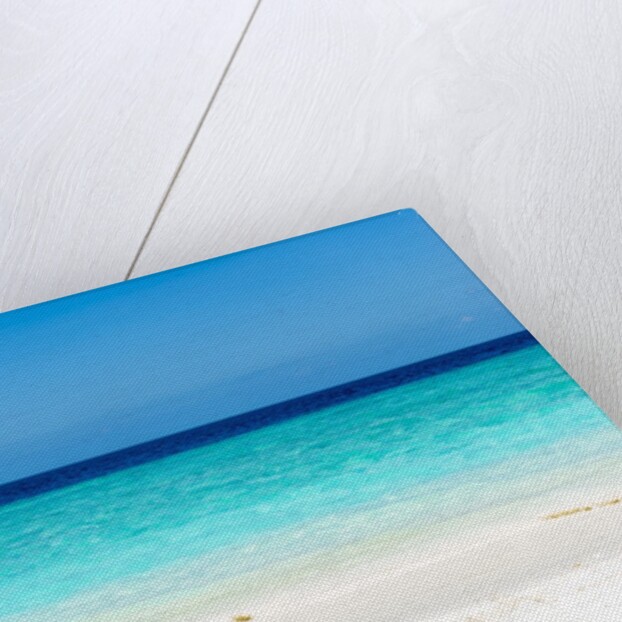Idyllic beach in The Maldives by Anonymous
