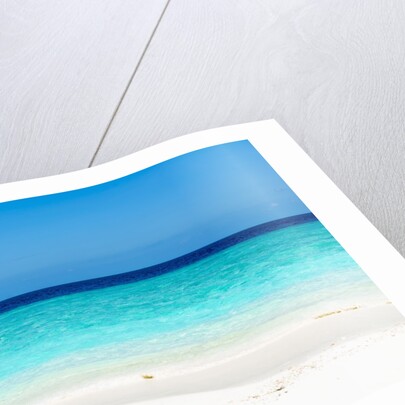 Idyllic beach in The Maldives by Anonymous