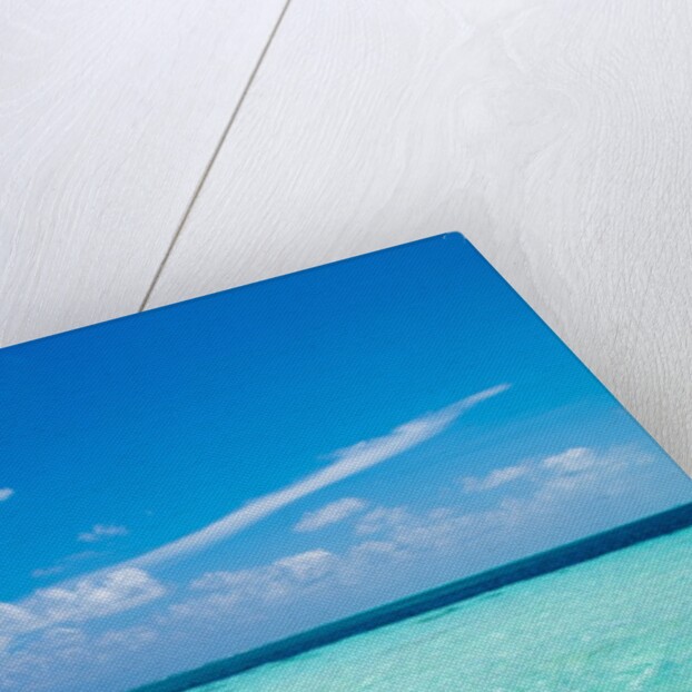 The ocean in The Maldives by Anonymous