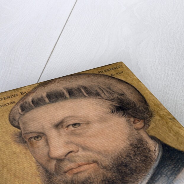 Self Portrait Drawing by Hans Holbein The Younger