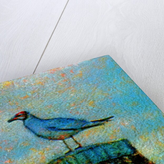 Bird by Anonymous