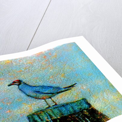 Bird by Anonymous