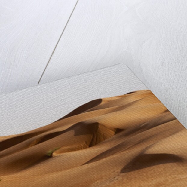 Desert sand dunes by Anonymous