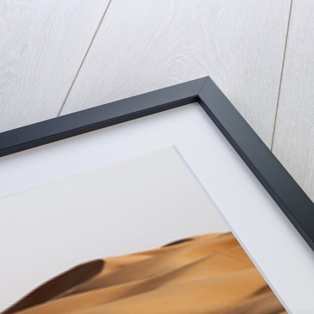 Desert sand dunes by Anonymous