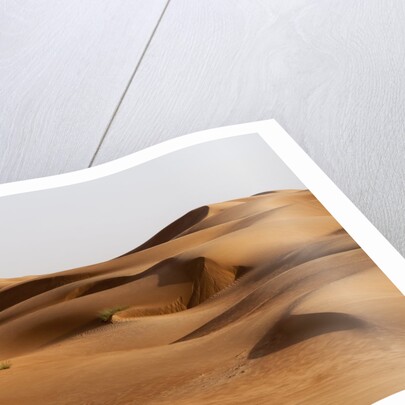 Desert sand dunes by Anonymous