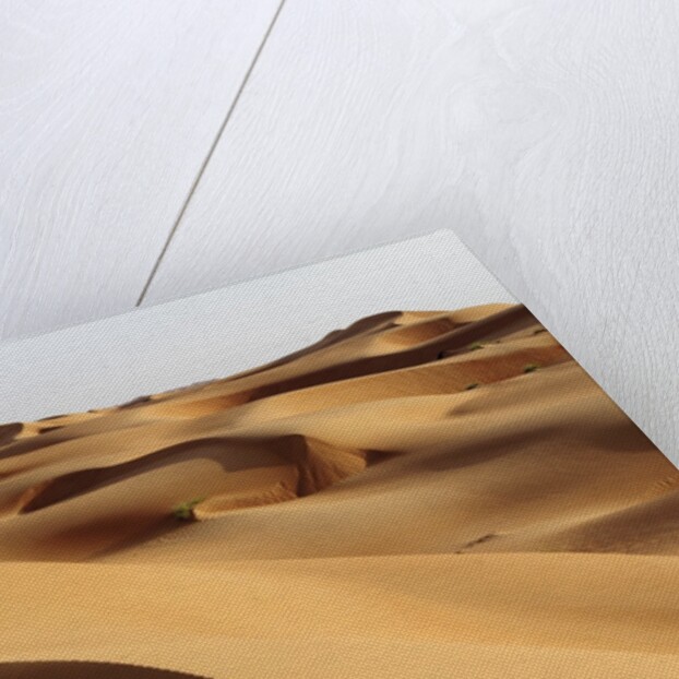 Desert sand dunes by Anonymous