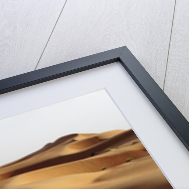 Desert sand dunes by Anonymous