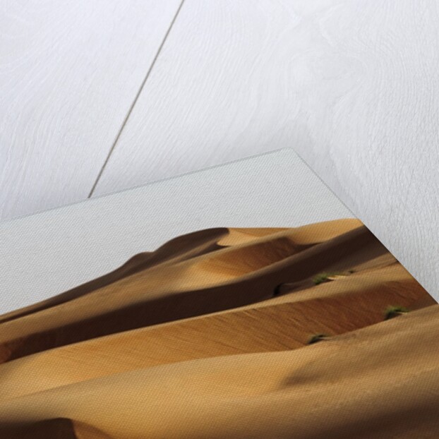Desert sand dunes by Anonymous