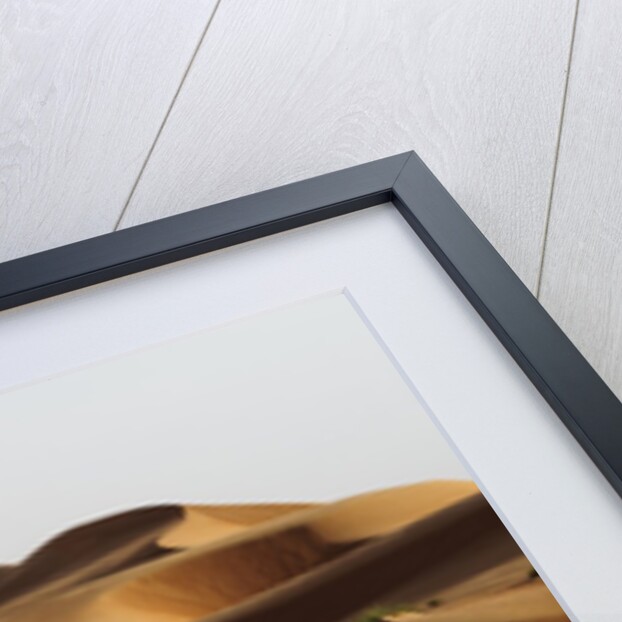 Desert sand dunes by Anonymous