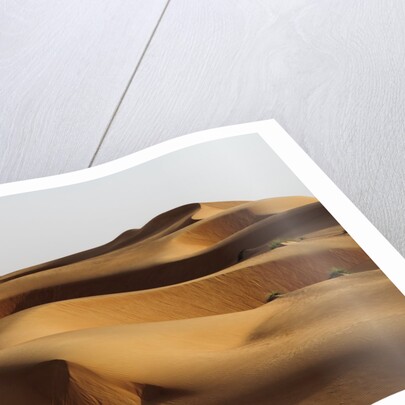 Desert sand dunes by Anonymous