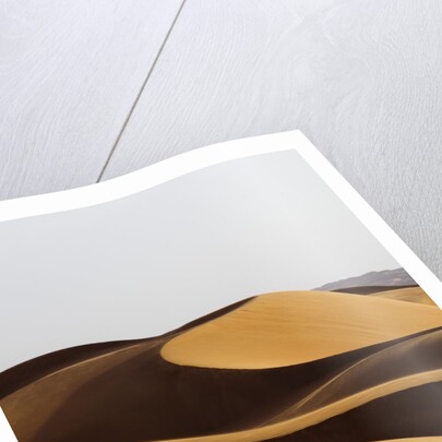 Desert sand dunes by Anonymous