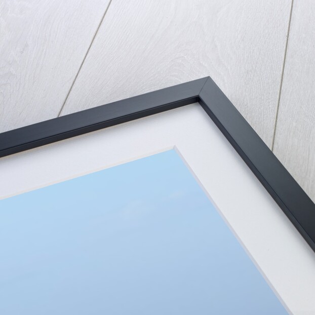 A wild camel walking on sand dunes. by Anonymous