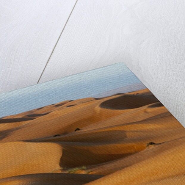 Desert sand dunes by Anonymous