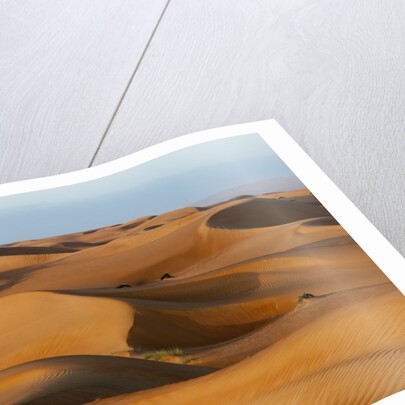 Desert sand dunes by Anonymous