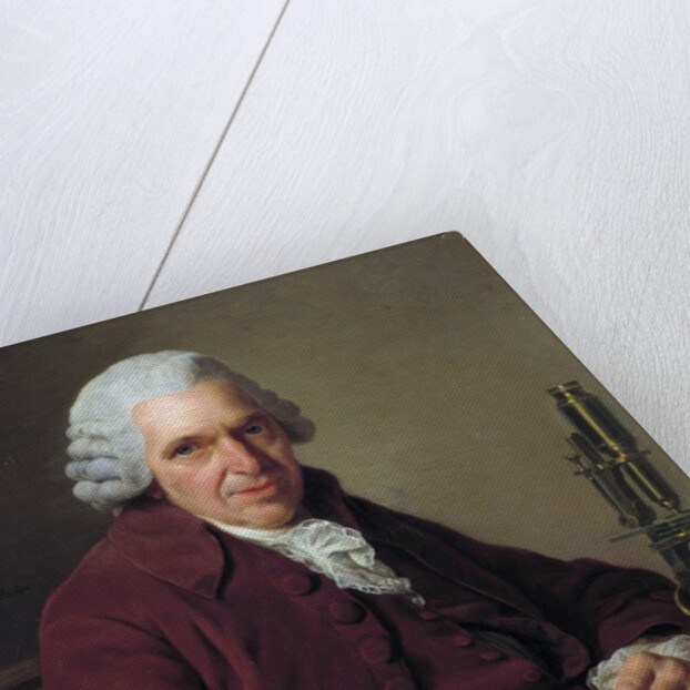 Portrait of Daubenton by Alexandre Roslin