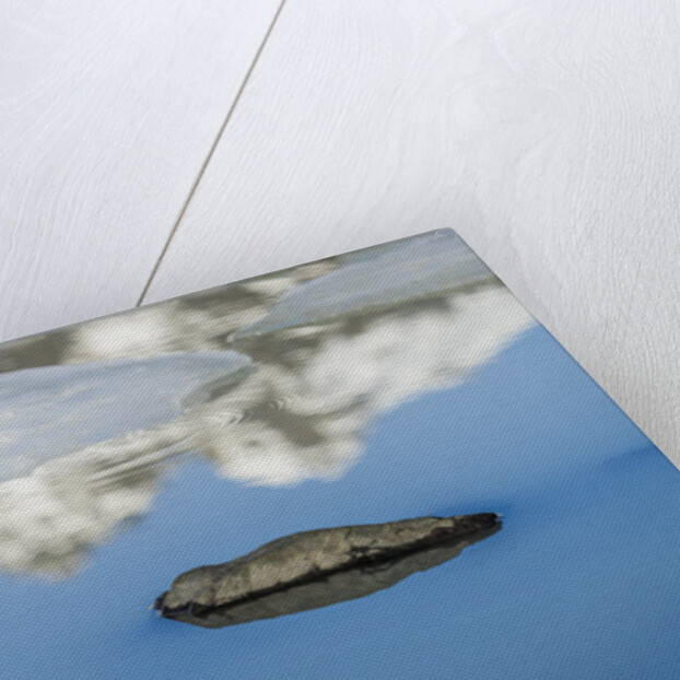 Rock with sky reflected in water. by Anonymous