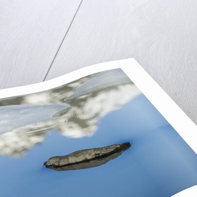 Rock with sky reflected in water. by Anonymous