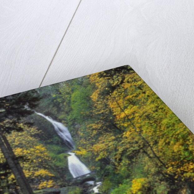 Wahkeena Falls by Anonymous