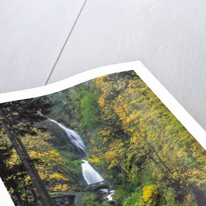 Wahkeena Falls by Anonymous