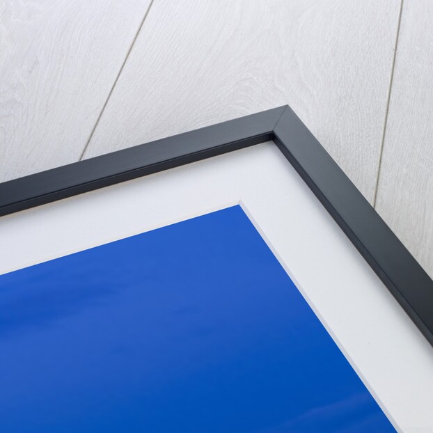 Night View of Seattle Skyline with Christmas Tree on the Space Needle by Anonymous