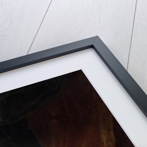 Portrait of Louis XV by studio of Carle Van Loo by Anonymous