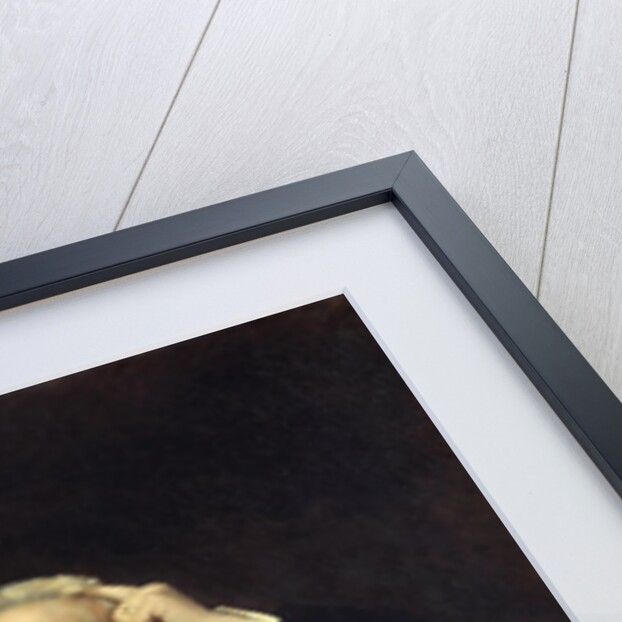 Portrait of Victor Hugo - by Leon Joseph Bonnat