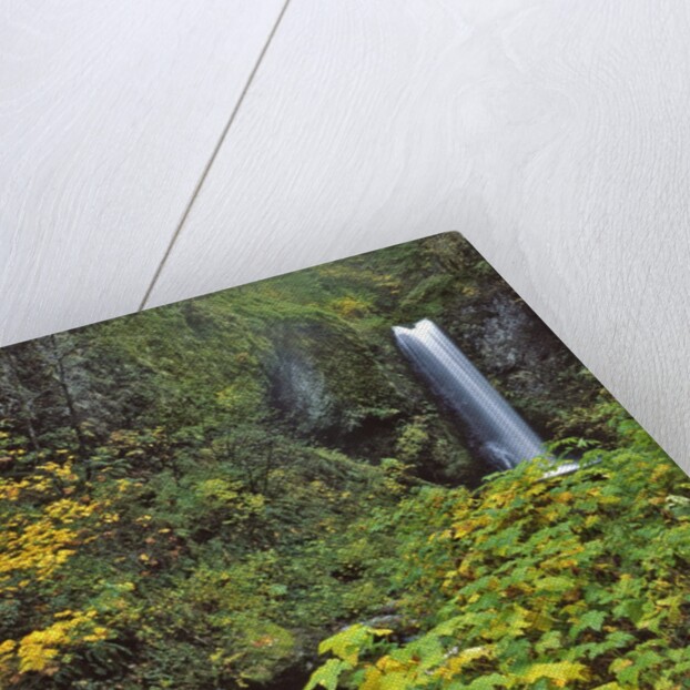 Upper Multnomah Falls by Anonymous
